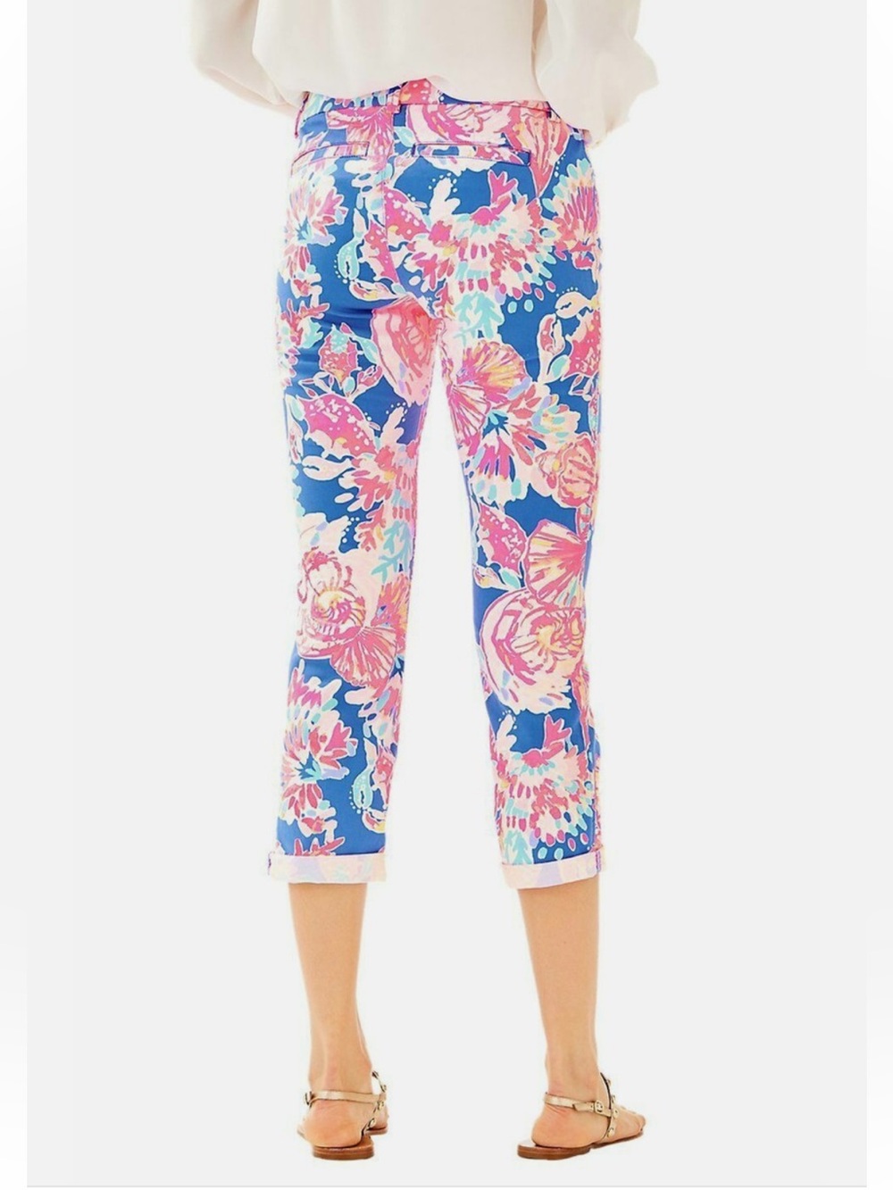 Lilly Pulitzer Sadie Stretch Crop Chino Pant in Bennet Blue Bay Dreamin Sz 0 - Picture 2 of 13